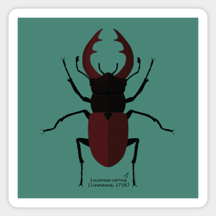 Stag beetle Sticker